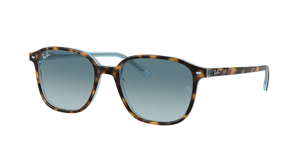Ray-Ban Leonard RB2193