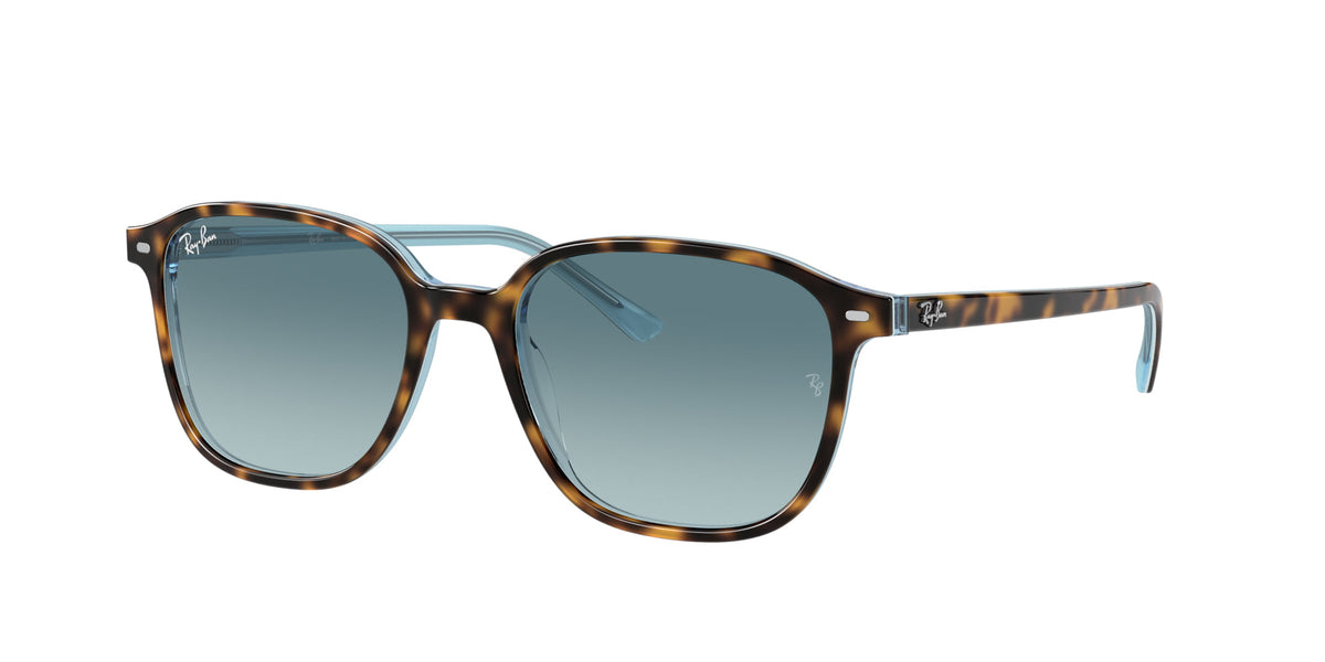 Ray-Ban Leonard RB2193