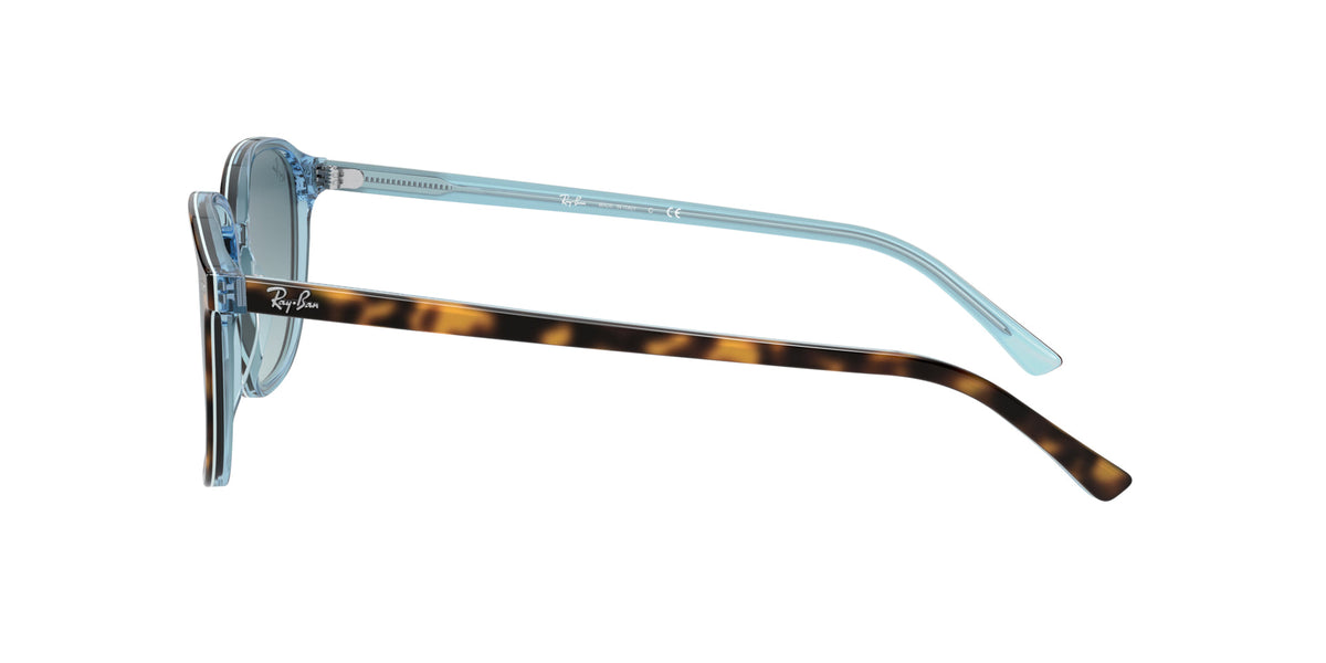 Ray-Ban Leonard RB2193
