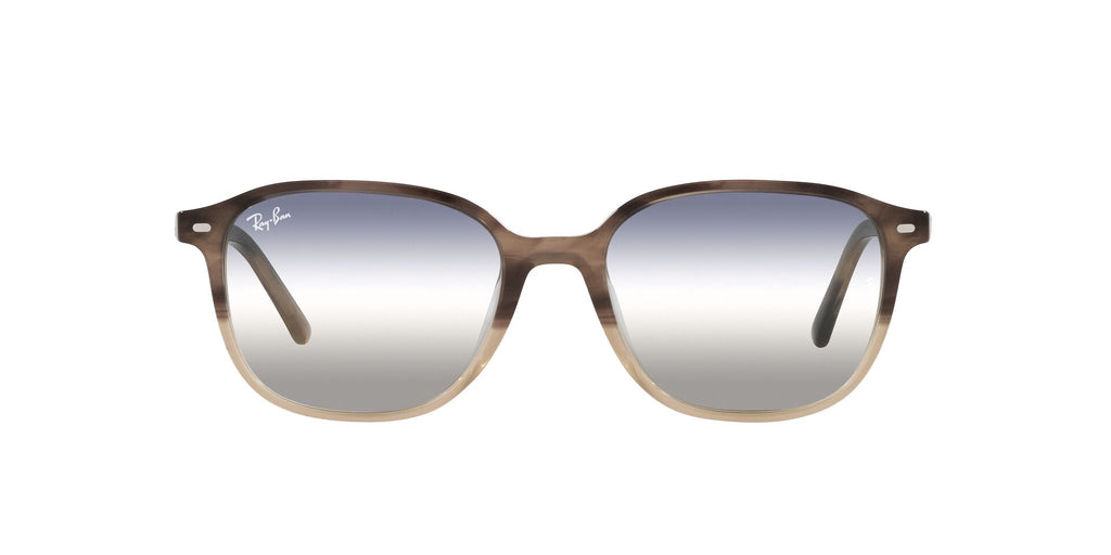 Ray-Ban Leonard RB2193