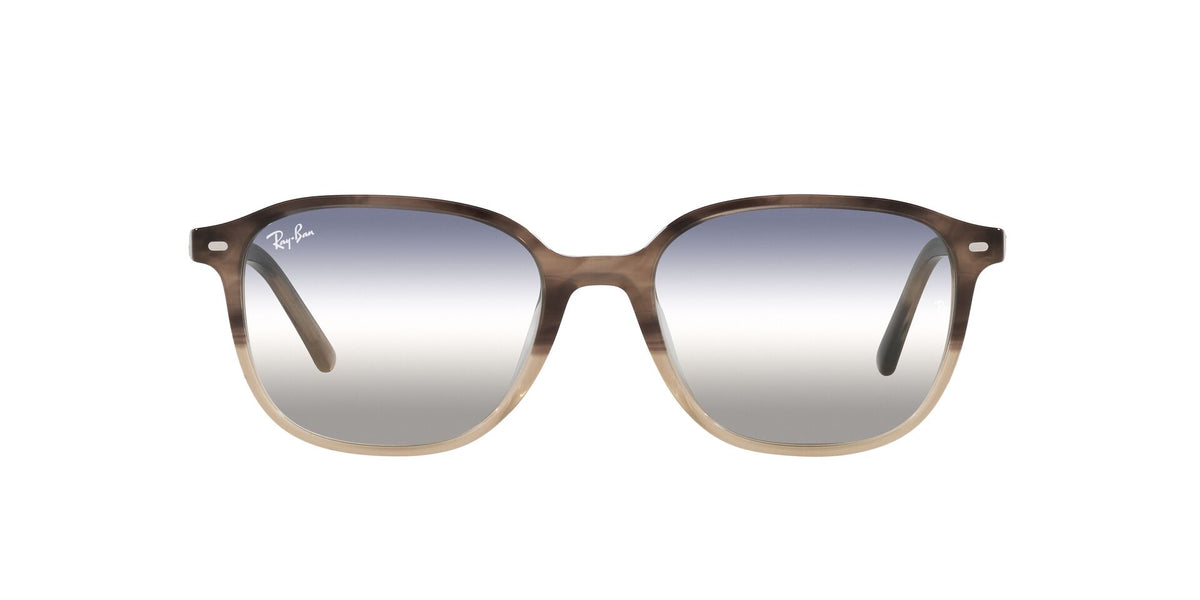 Ray-Ban Leonard RB2193