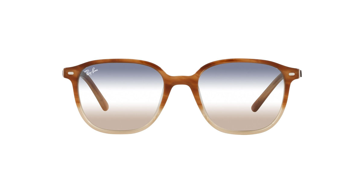 Ray-Ban Leonard RB2193