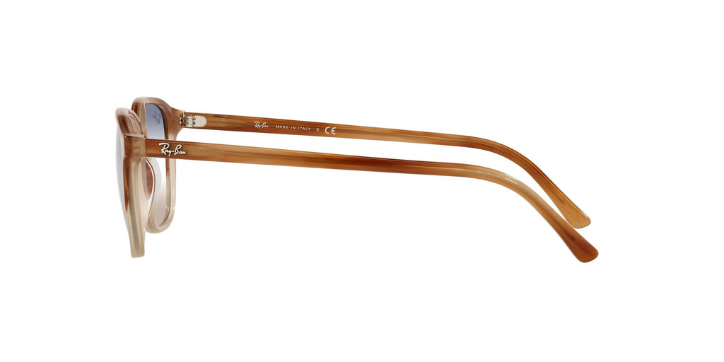 Ray-Ban Leonard RB2193