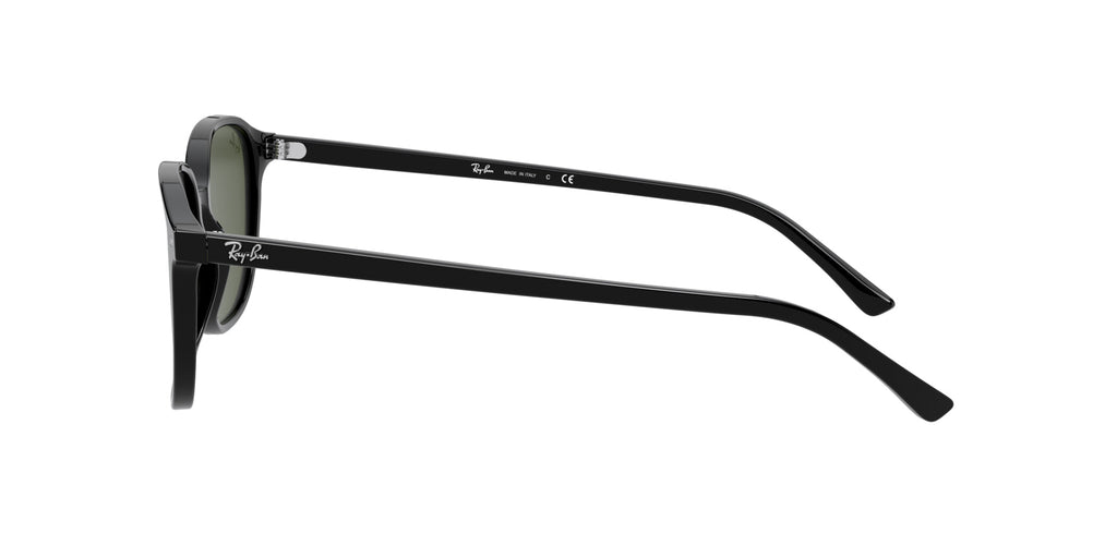 Ray-Ban Leonard RB2193