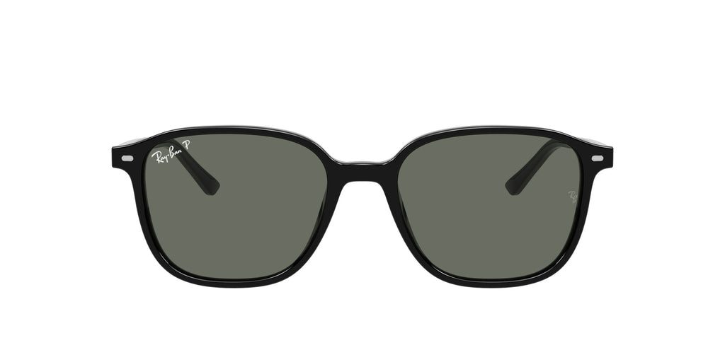 Ray-Ban Leonard RB2193