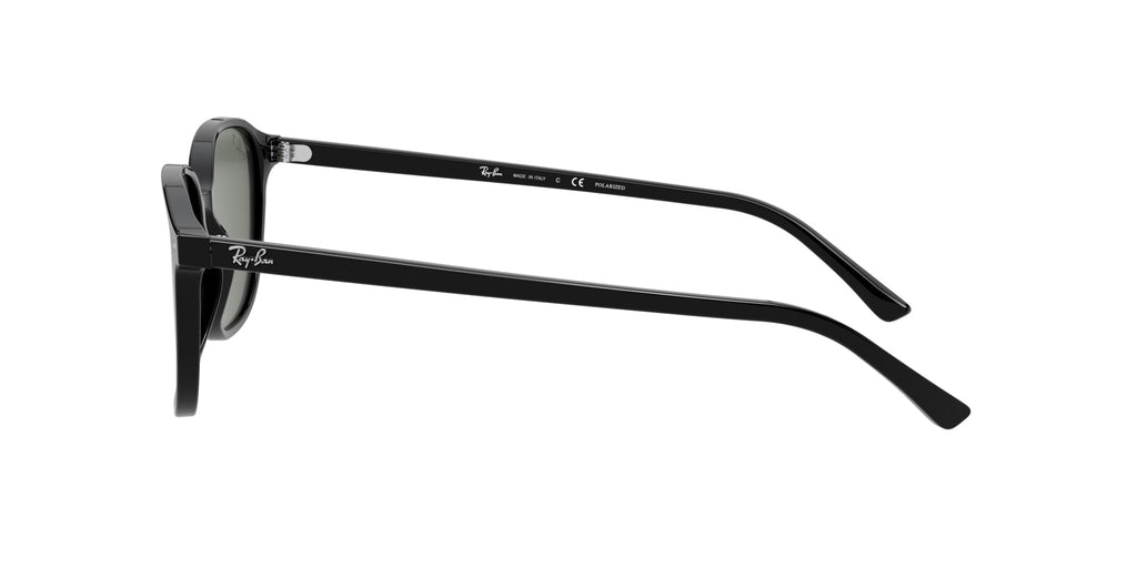 Ray-Ban Leonard RB2193