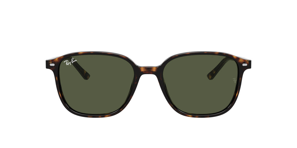 Ray-Ban Leonard RB2193