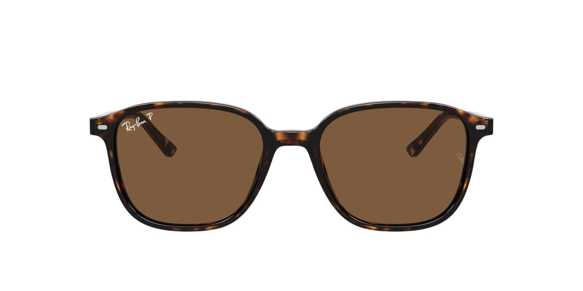 Ray-Ban Leonard RB2193