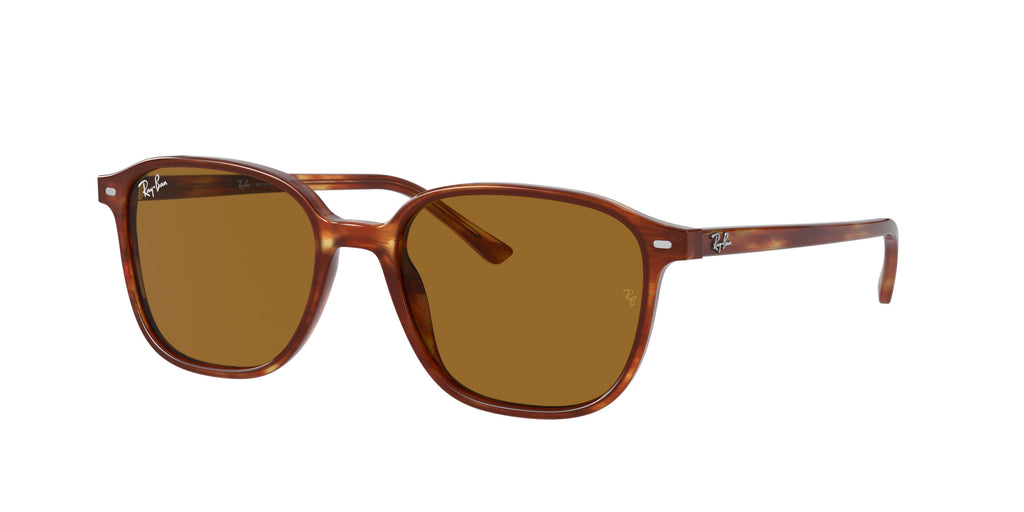 Ray-Ban Leonard RB2193