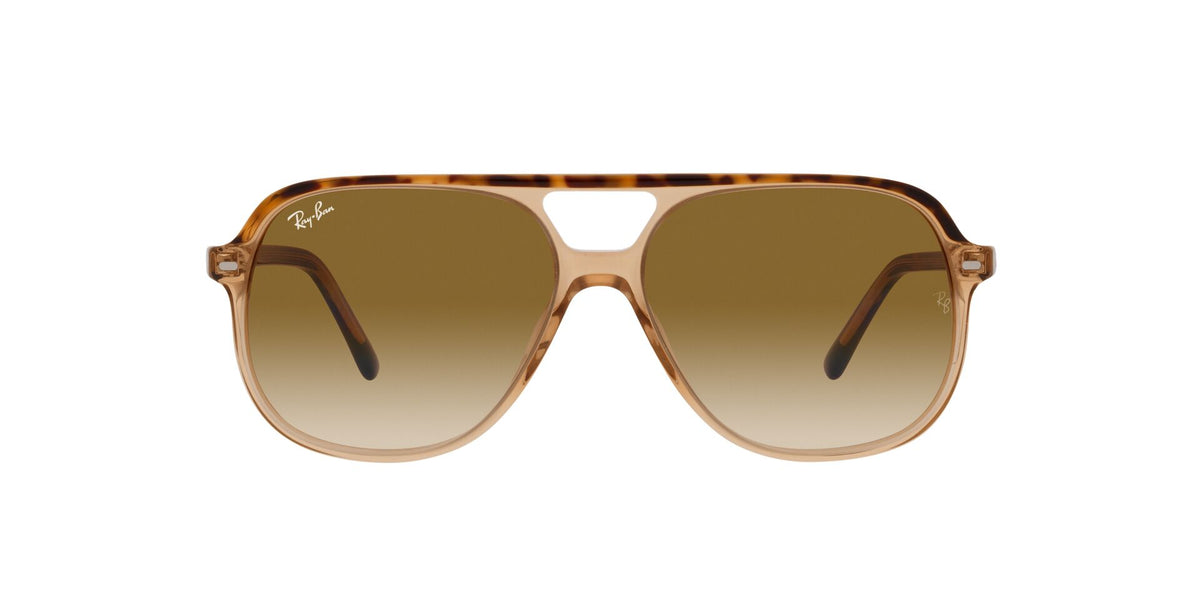 Ray-Ban Bill RB2198