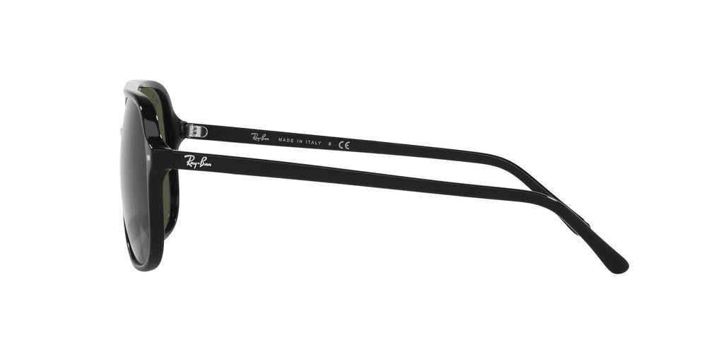 Ray-Ban Bill RB2198