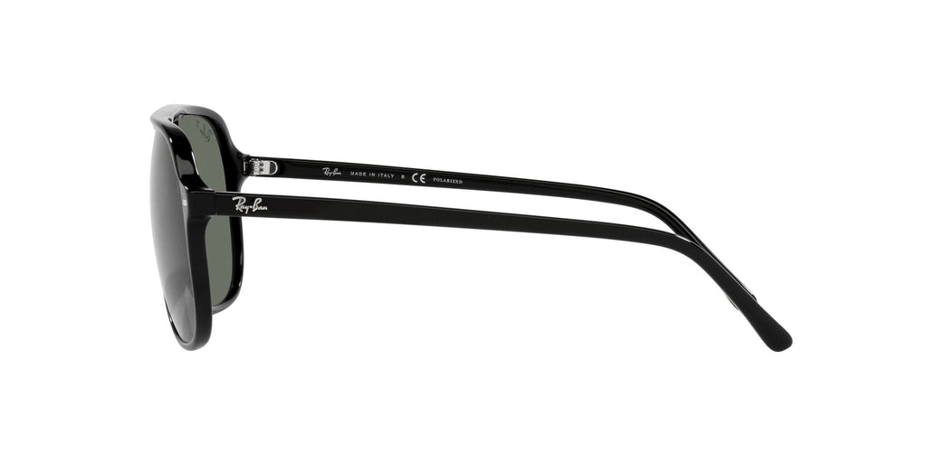 Ray-Ban Bill RB2198