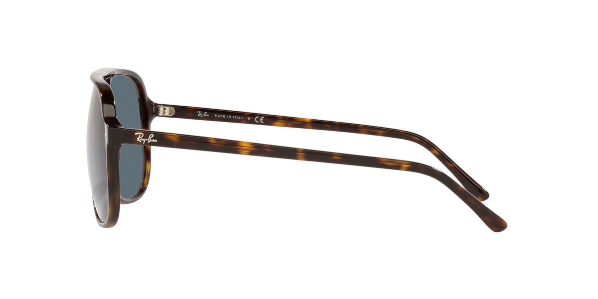 Ray-Ban Bill RB2198