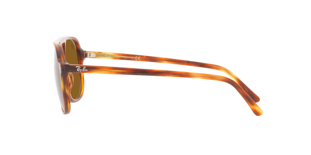 Ray-Ban Bill RB2198