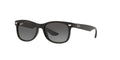 Ray-Ban Kids RJ9052S