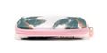 Shoreline Case