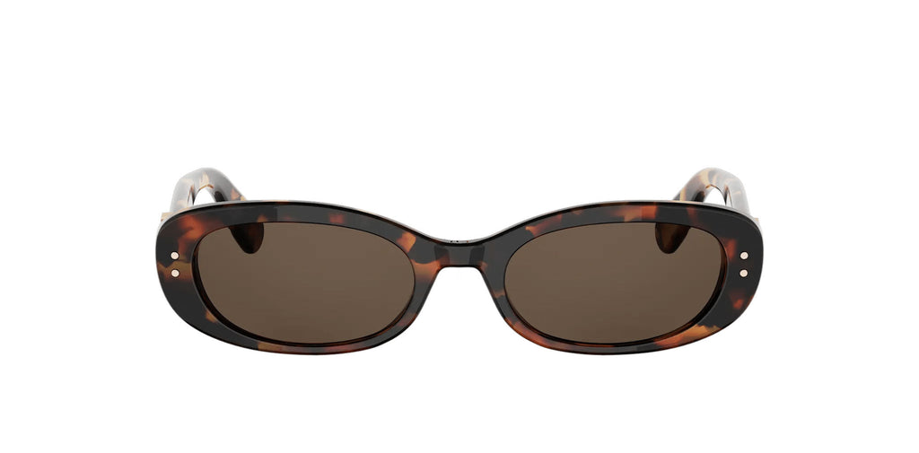 Dior Oblique B1I