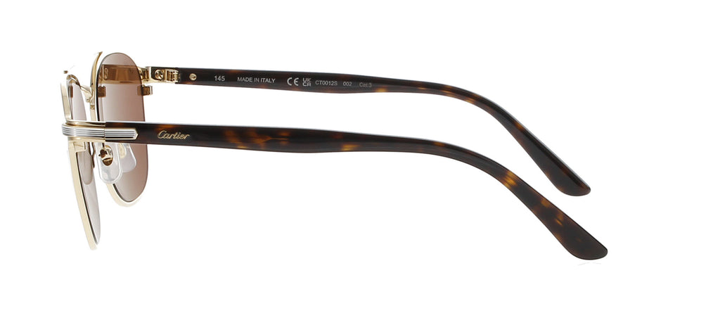 Cartier Decor CT0012S