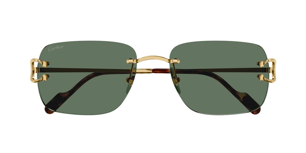 Cartier CT0330S