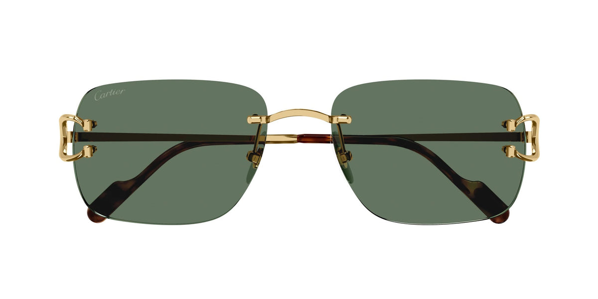 Cartier CT0330S