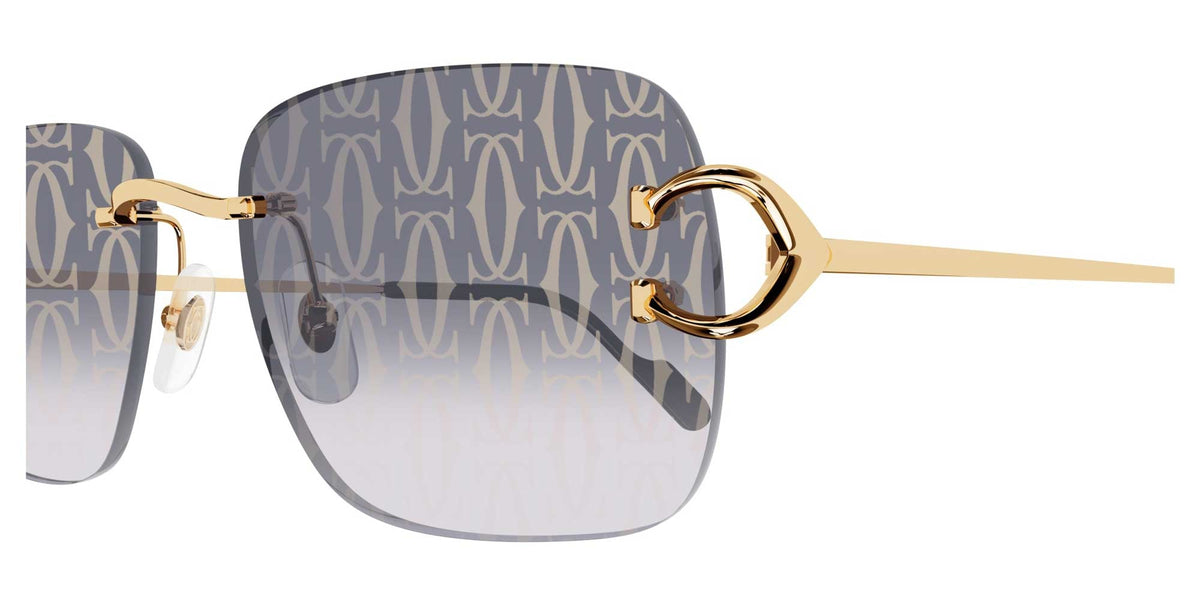 Cartier CT0330S
