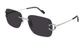 Cartier CT0330S