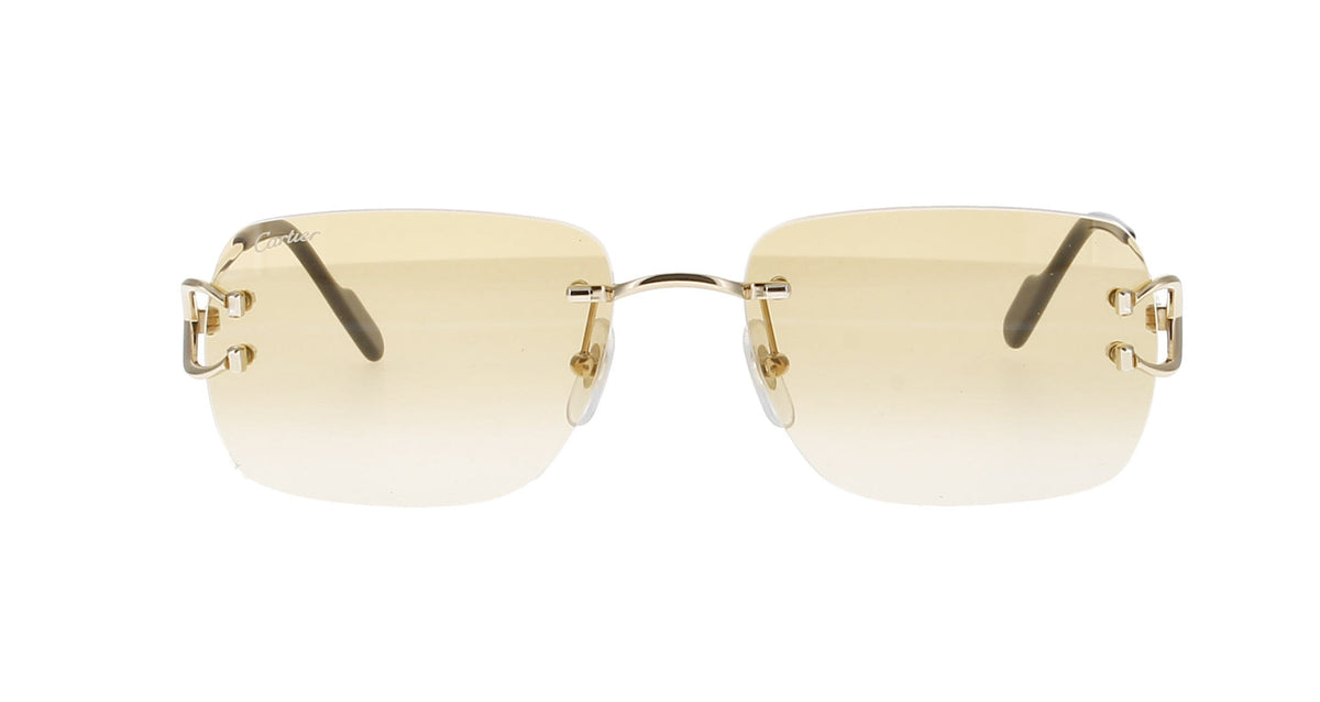Cartier CT0330S