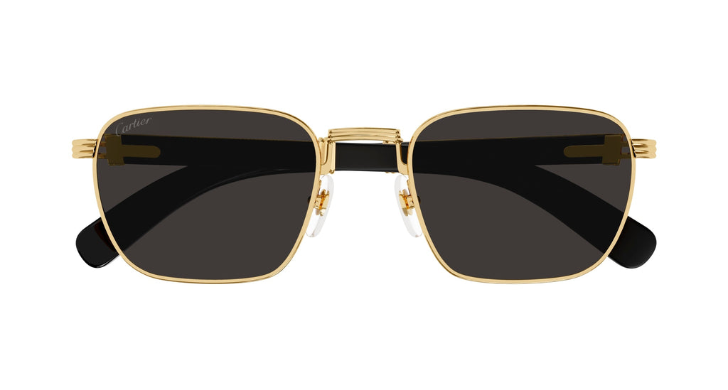 Cartier CT0363S