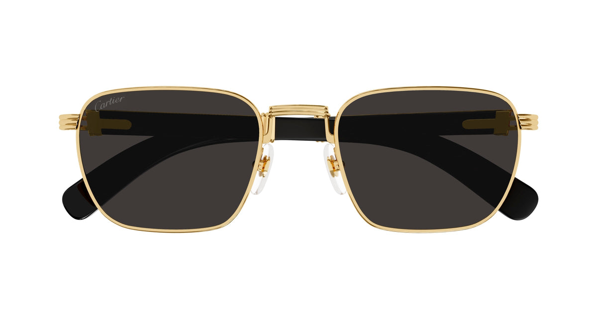 Cartier CT0363S