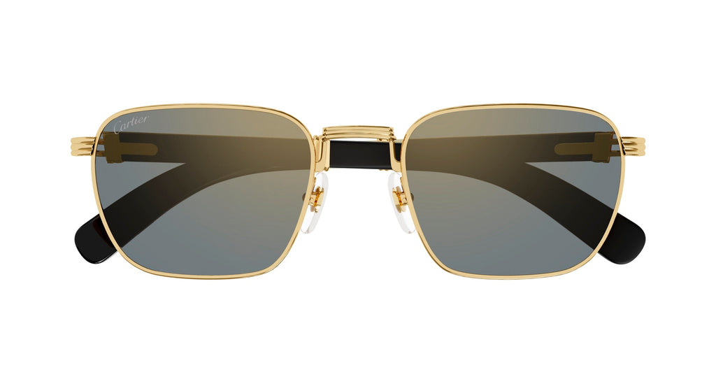 Cartier CT0363S