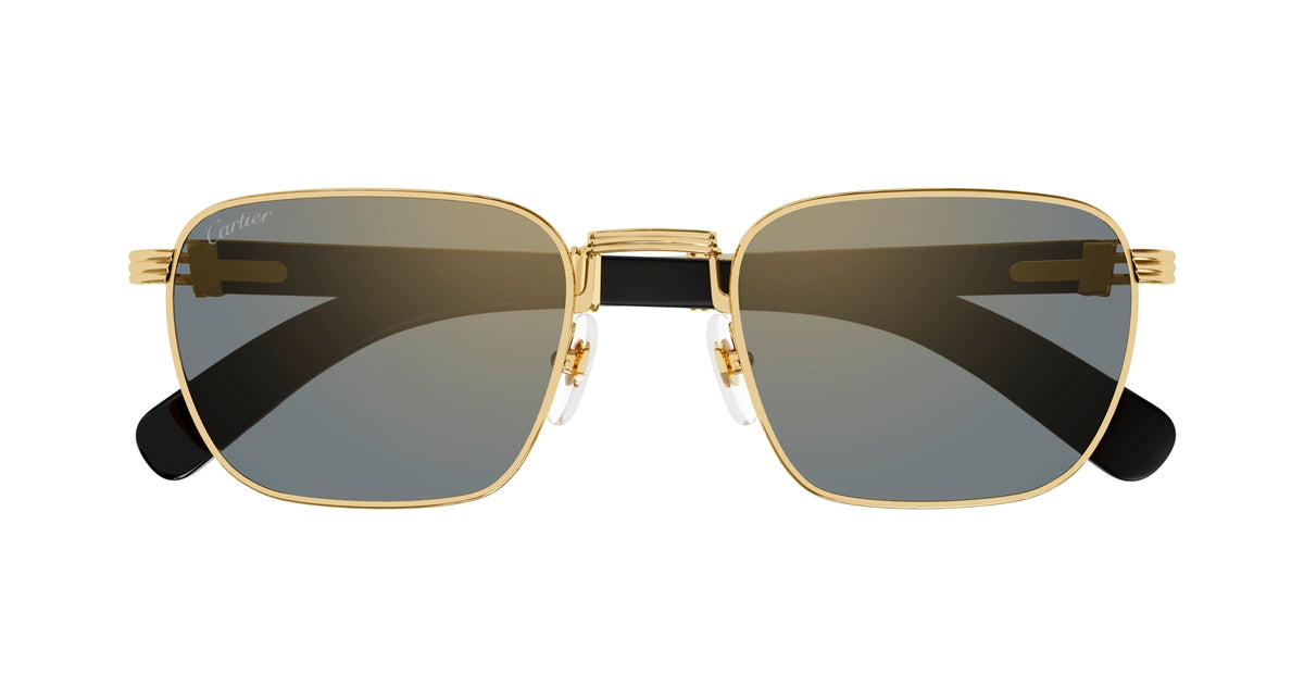 Cartier CT0363S