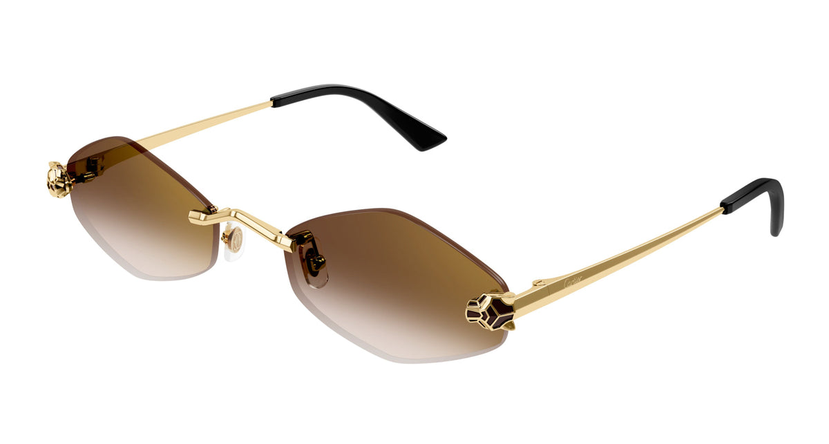Cartier CT0433S