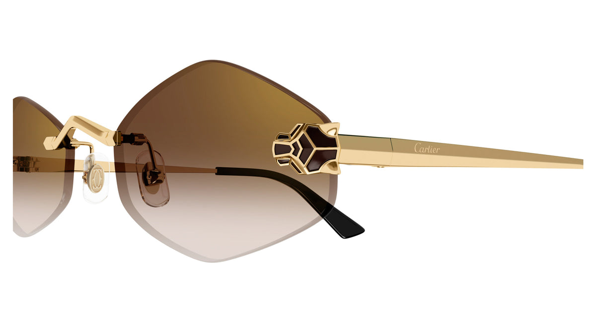 Cartier CT0433S