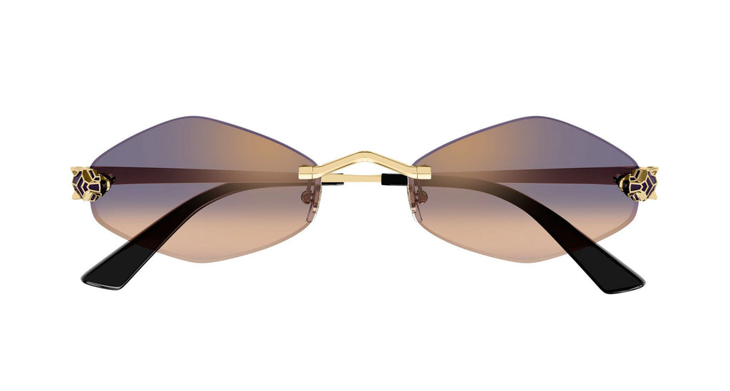 Cartier CT0433S