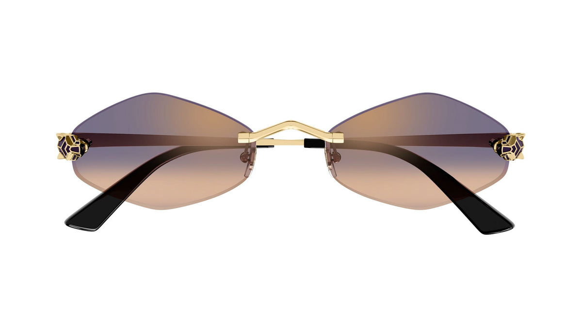 Cartier CT0433S