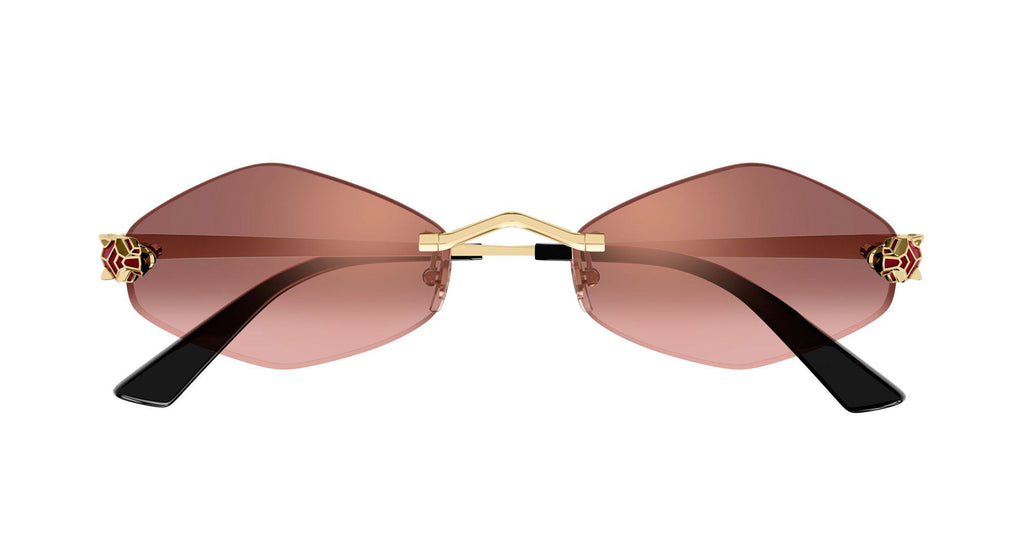 Cartier CT0433S