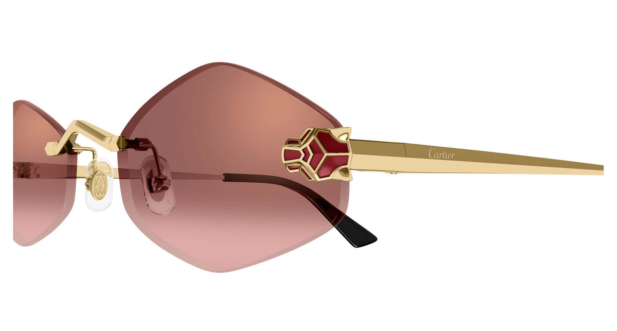 Cartier CT0433S