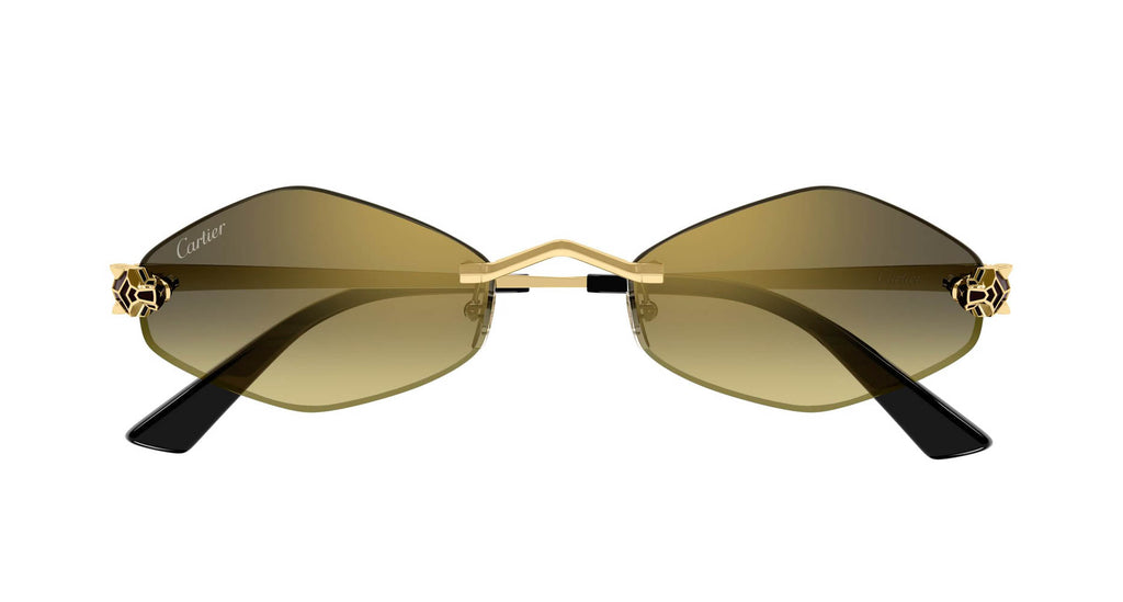 Cartier CT0433S