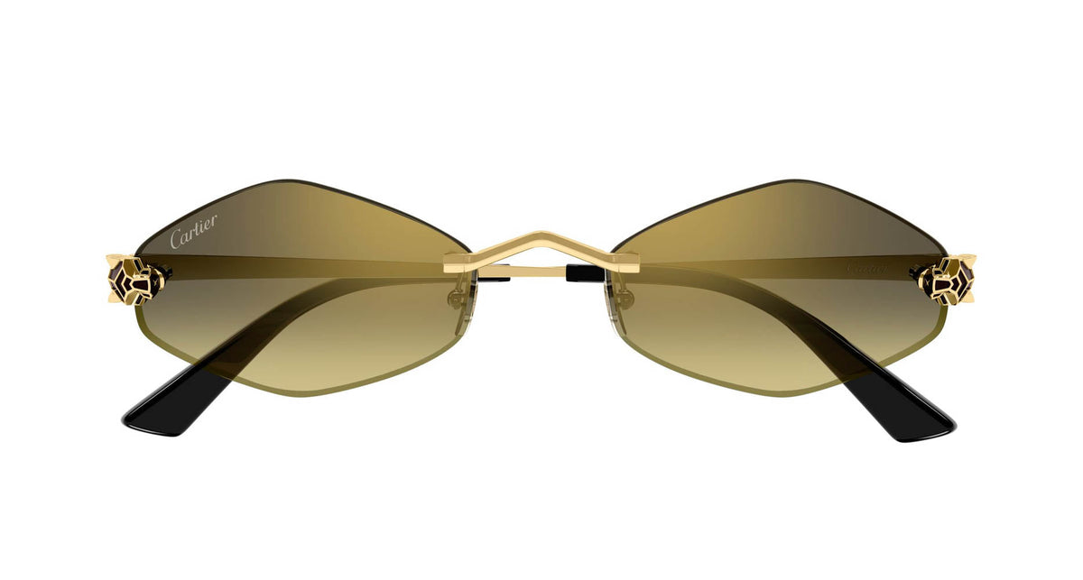 Cartier CT0433S