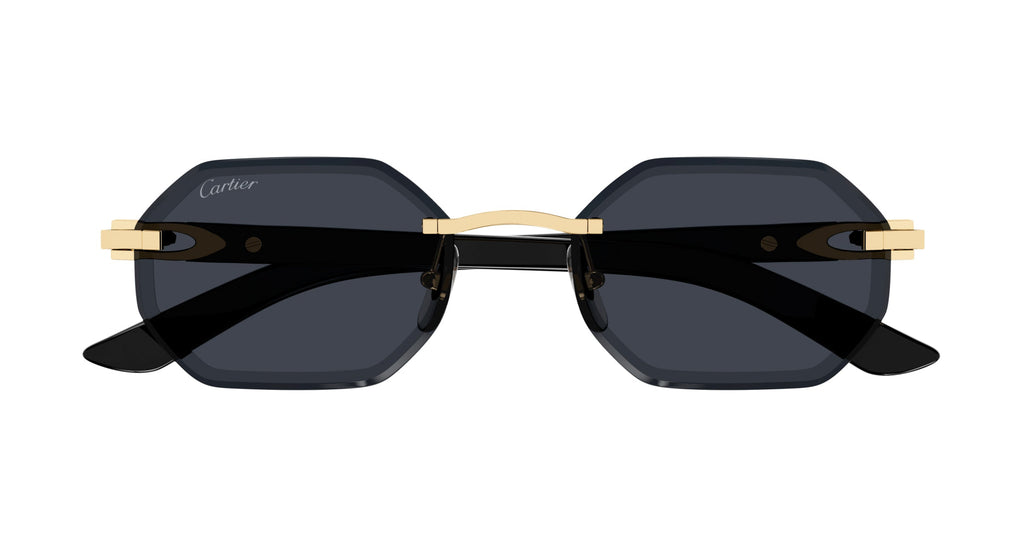 Cartier CT0439S