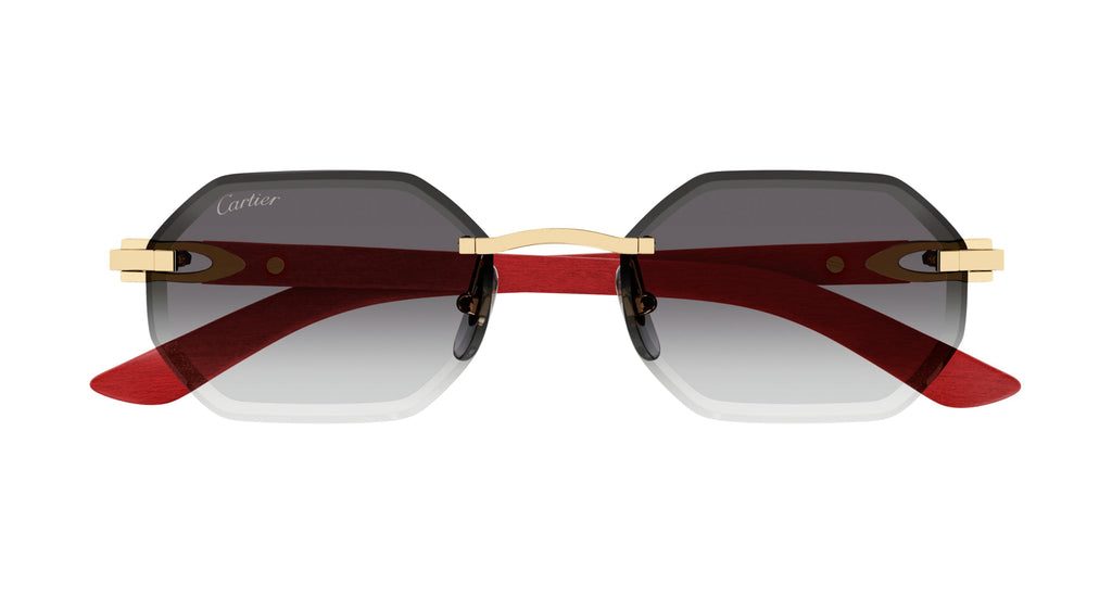 Cartier CT0439S