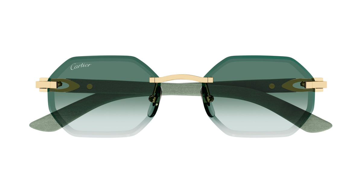 Cartier CT0439S