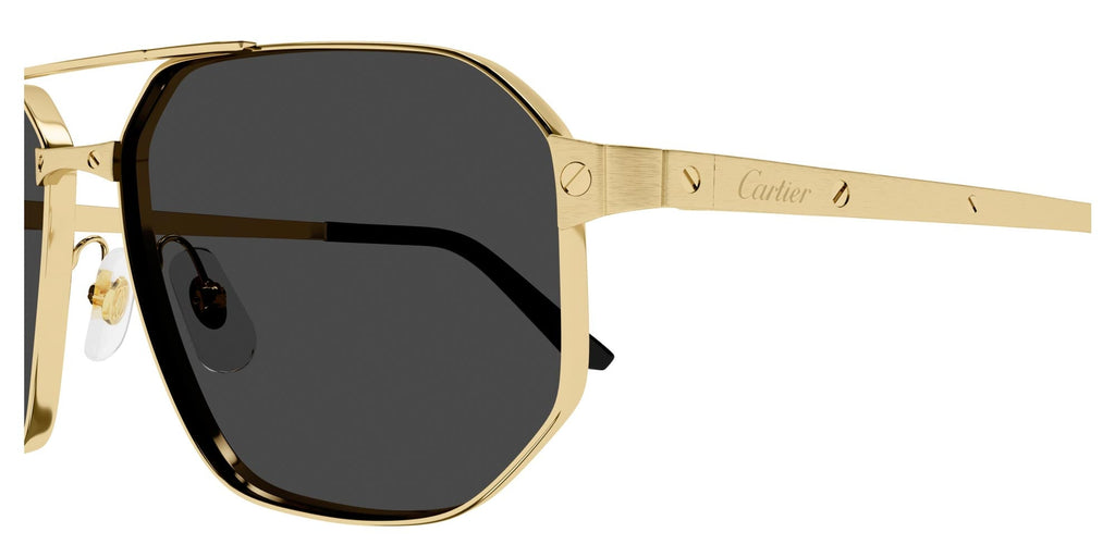 Cartier CT0462S