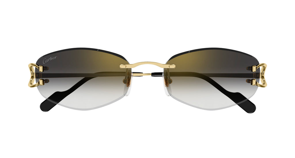 Cartier CT0467S