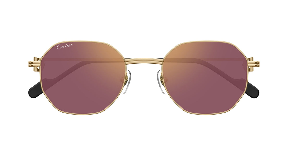 Cartier CT0500S