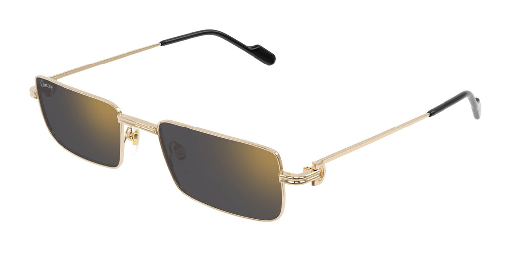 Cartier CT0501S