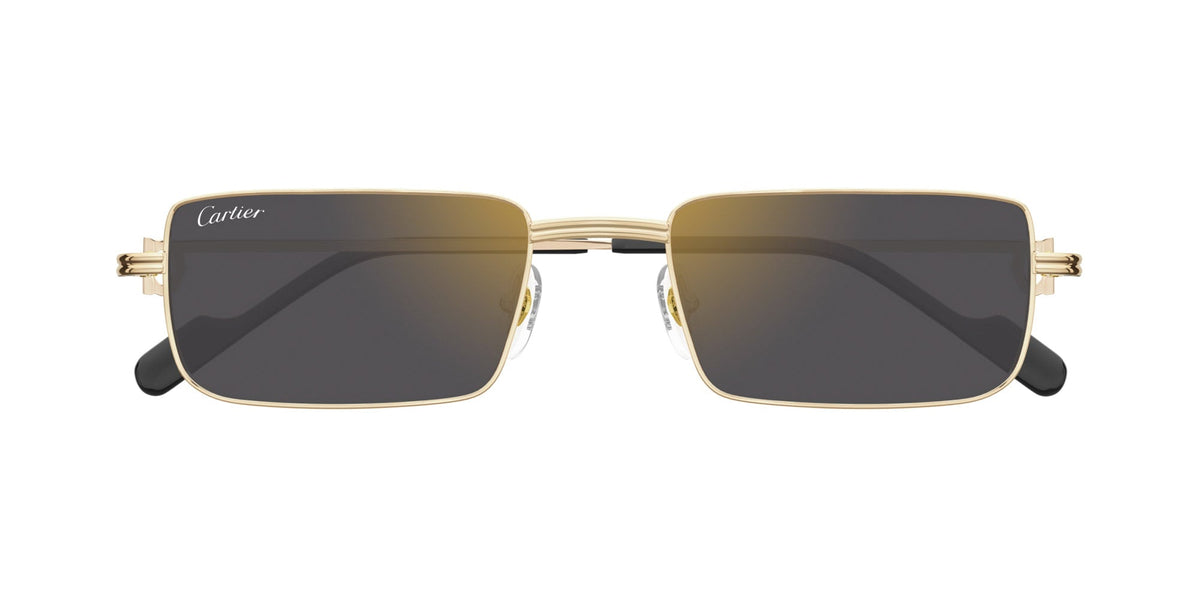 Cartier CT0501S