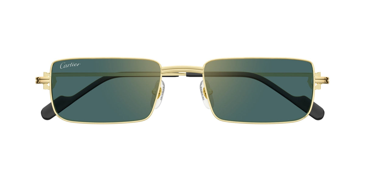 Cartier CT0501S