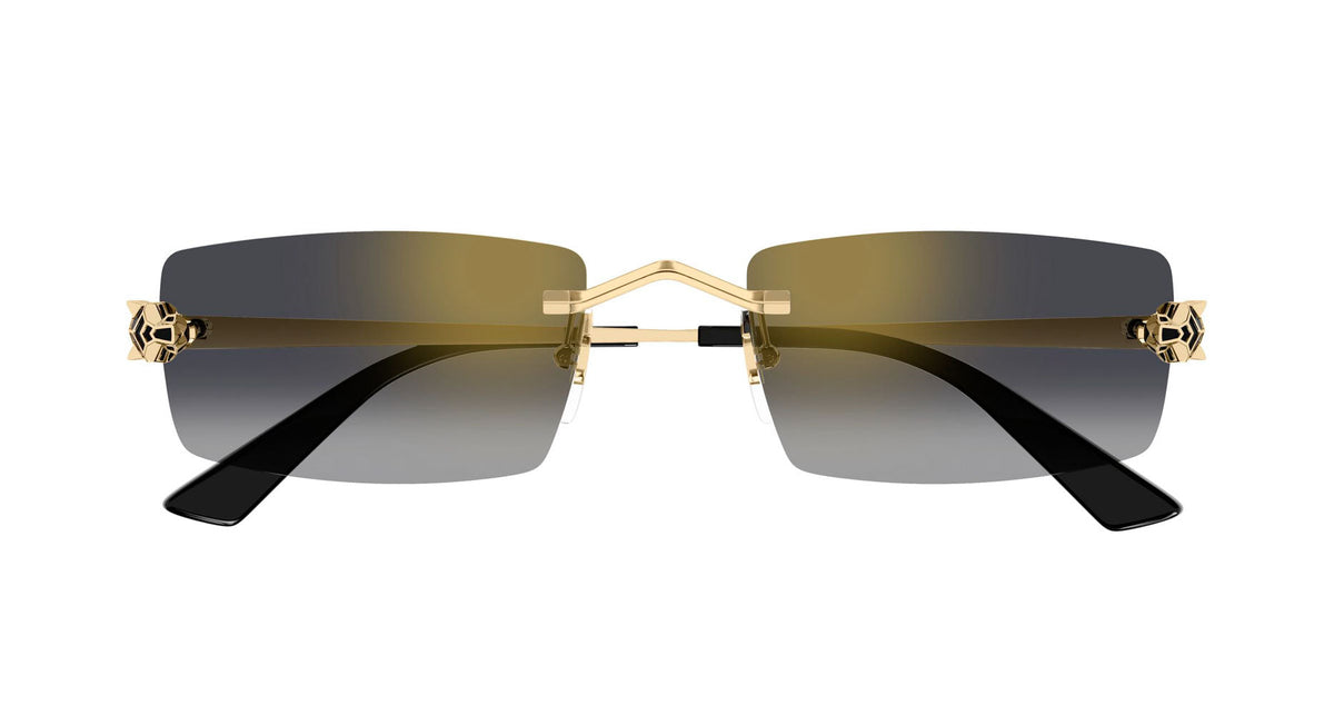 Cartier CT0598S