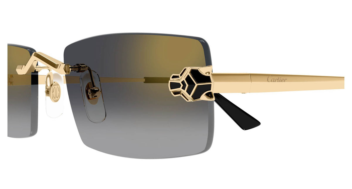 Cartier CT0598S
